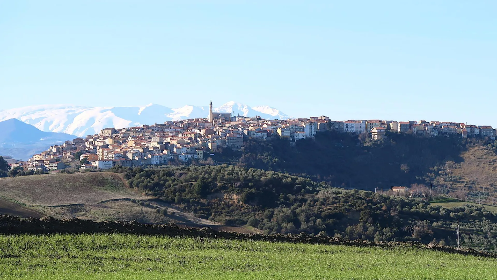 Tenuta Cimini Silvia, Montenero di Bisaccia (Molise)