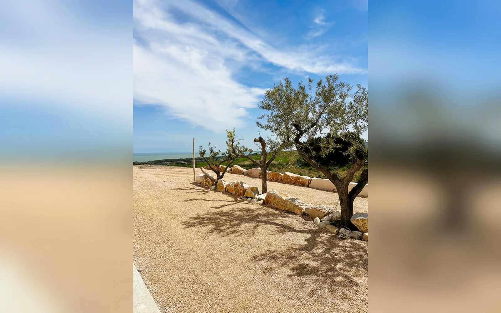Tenuta Cimini Silvia, Montenero di Bisaccia (Molise) — galleria foto 21