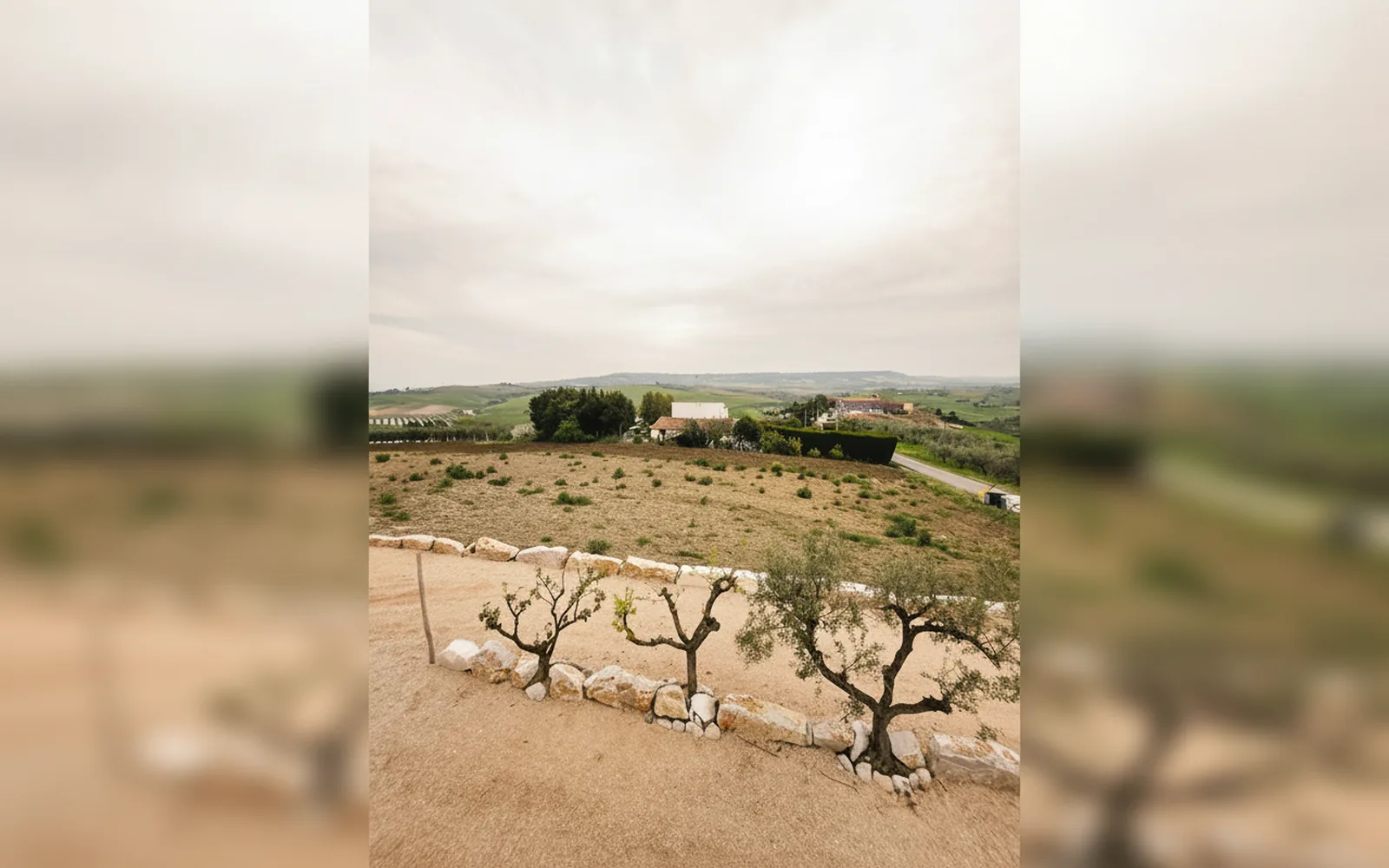 Tenuta Cimini Silvia, Montenero di Bisaccia (Molise) — galleria foto 23